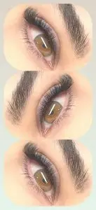 IMG 6501 Copy 137x300