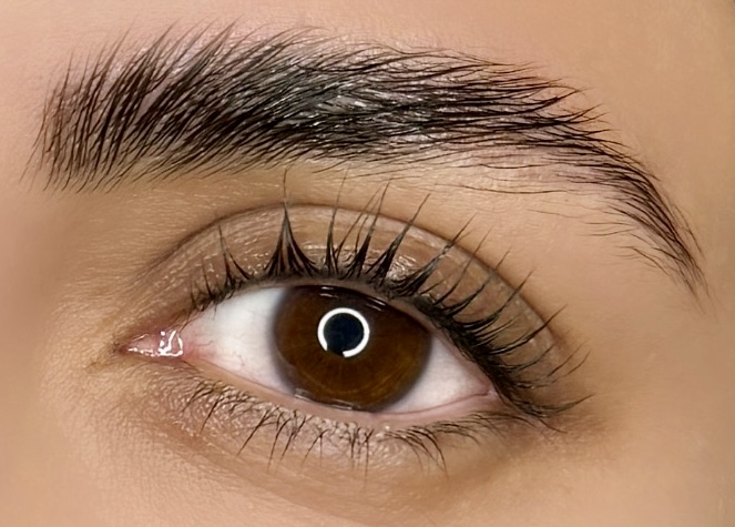 real lash lift model - North York, Toronto